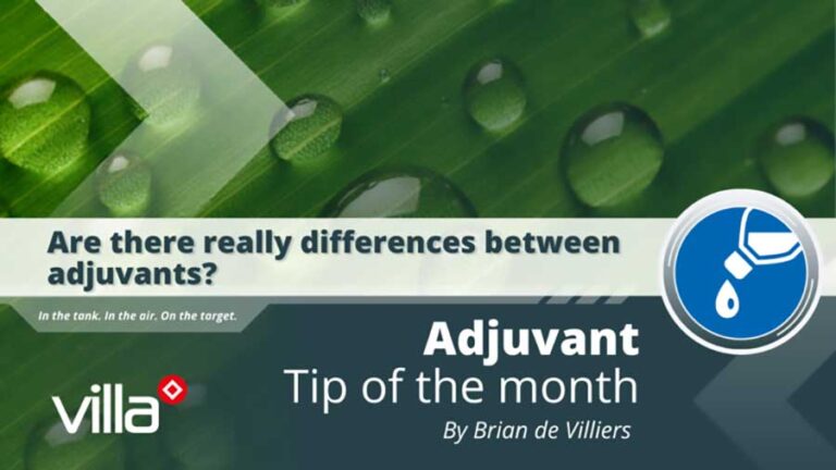 Are there really differences between adjuvants?