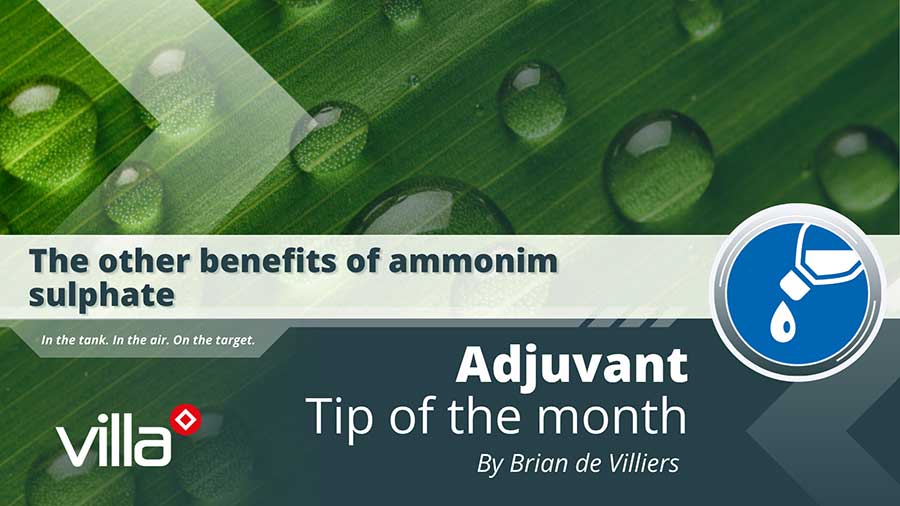 The other benefits of ammonim sulphate