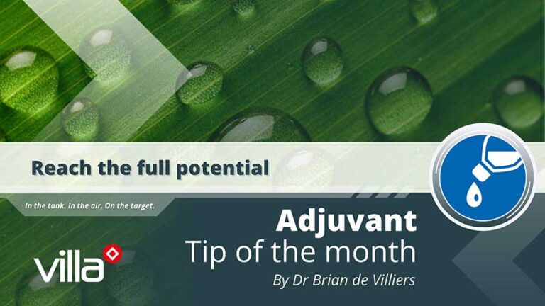 Reach the full Potential