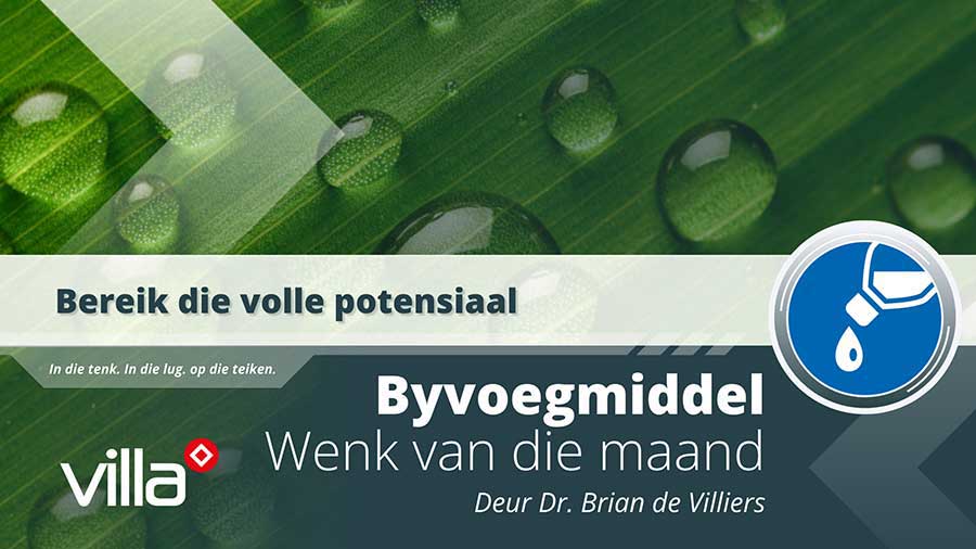Bereik die volle potensiaal