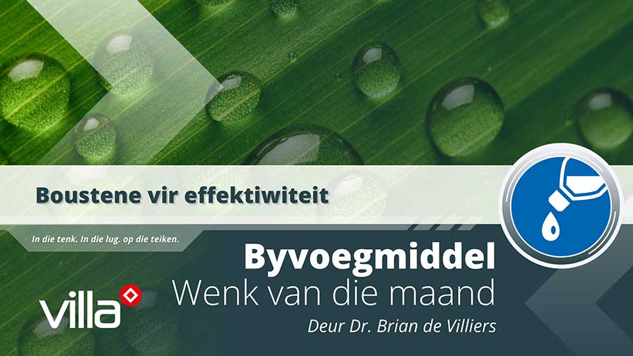 Boustene vir effektiwiteit