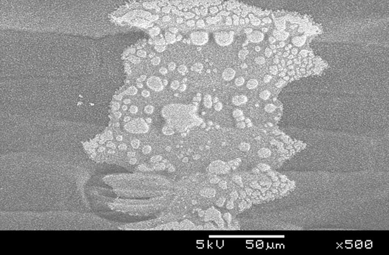 Photo 2: 500x enlargement of spray droplet deposit of glyphosate in calcium-containing water (note the crusty viscous deposit where calcium was present)