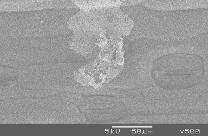 Photo 3: Glyphosate in calcium-containing water where ammonium sulphate was used (Note the star shaped calcium sulphate crystals and the rest of the deposit that has the same appearance as glyphosate in distilled water).