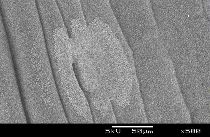 Photo 1: 500x enlargement of spray droplet deposit of glyphosate in distilled water