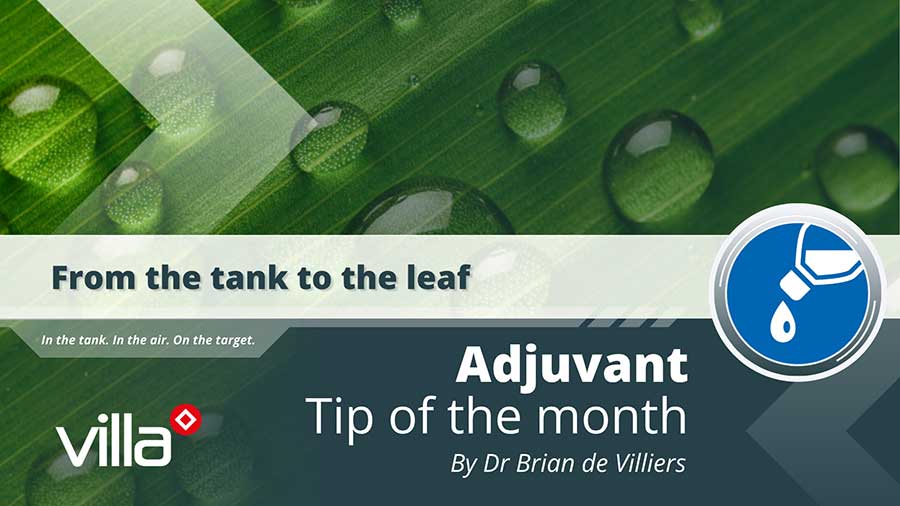 From the tank to the leaf