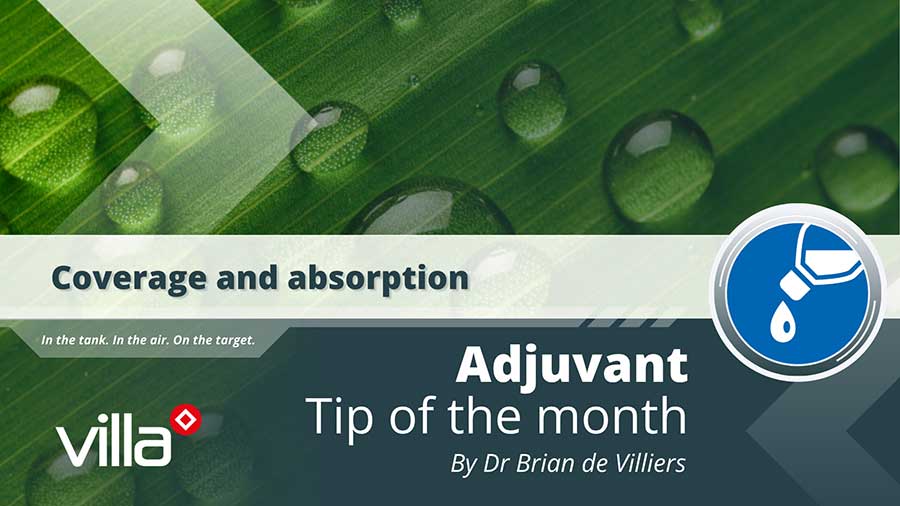 Coverage and absorption