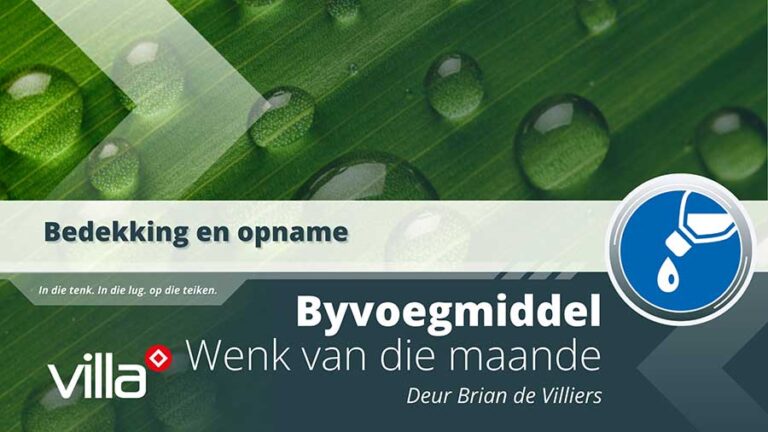 Bedekking en opname
