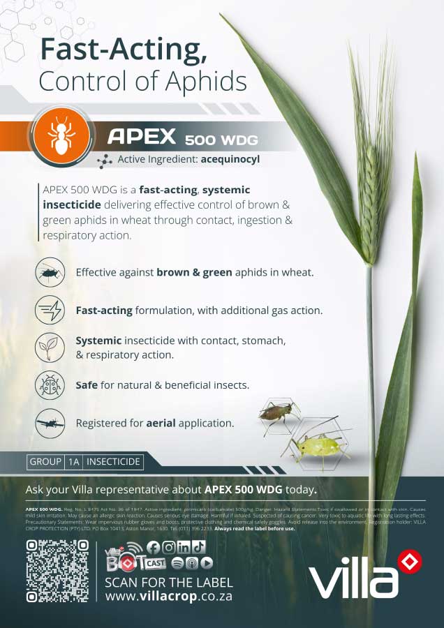 APEX-500-WDG---wheat