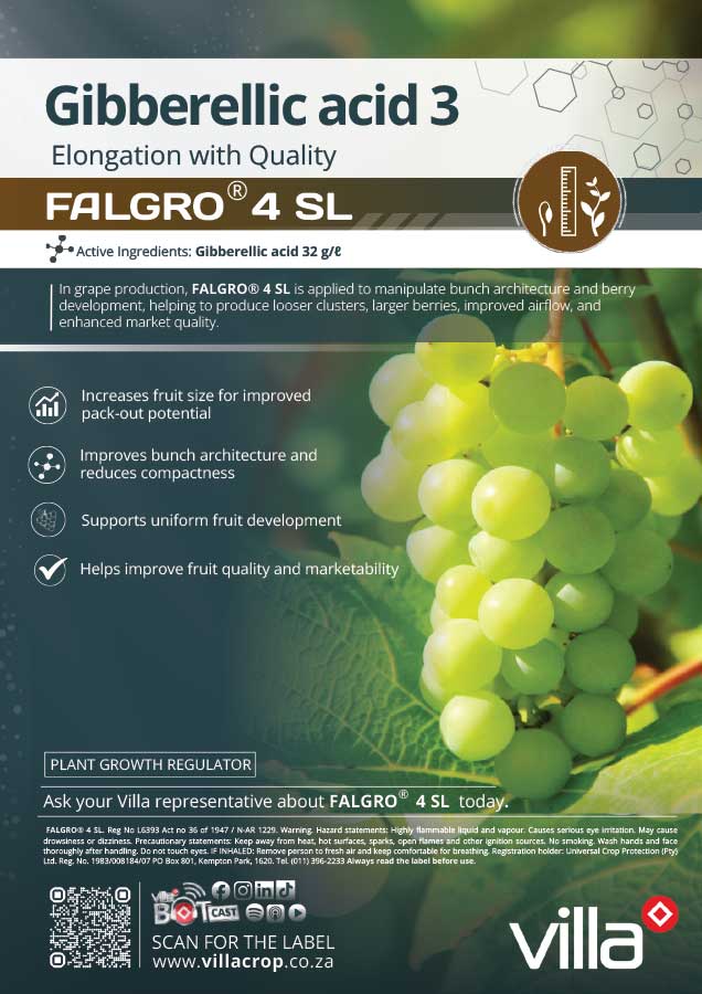 FALGRO-4-SL--grape