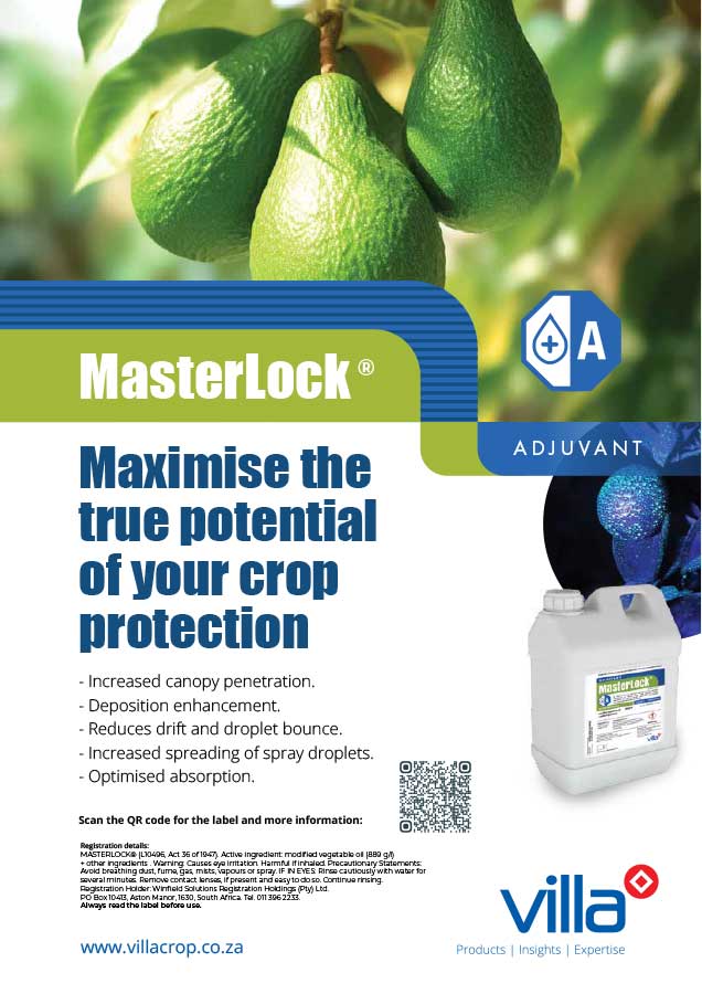 Masterlock-Avo