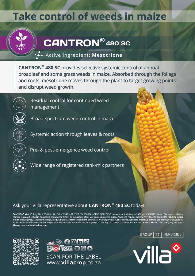 CANTRON_480_SC_Maize