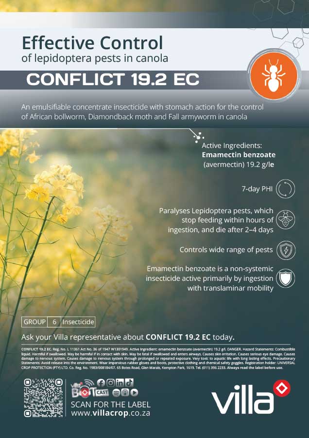 CONFLICT-19.2 EC