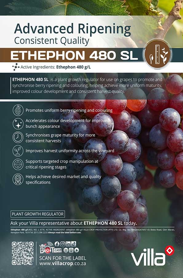 ETHEPHON-480-SL- grapes