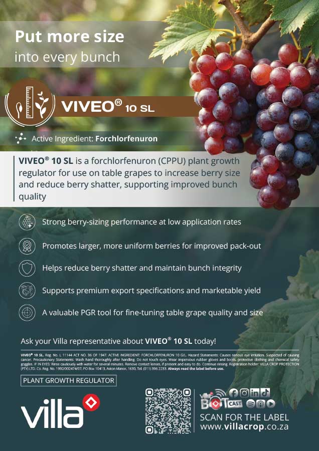 VIVEO_10_SL_Grapes